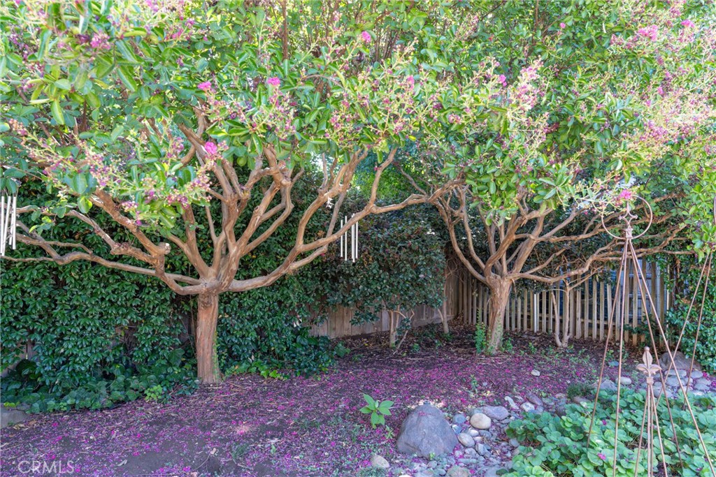 MLS #SN25271391 image #41