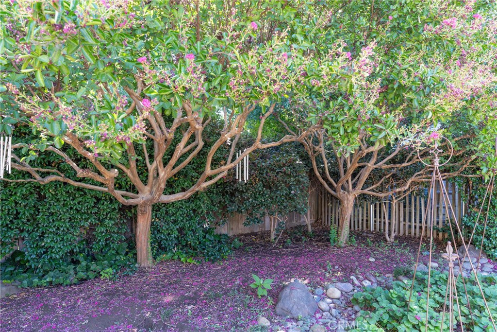 MLS #SN25271454 image #41