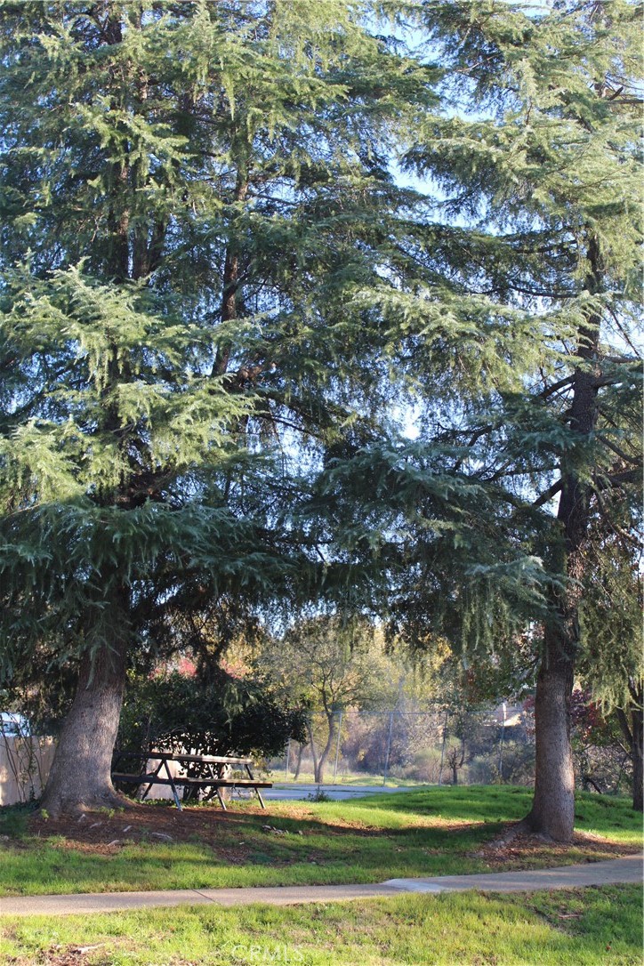 MLS #SN25272169 image #72