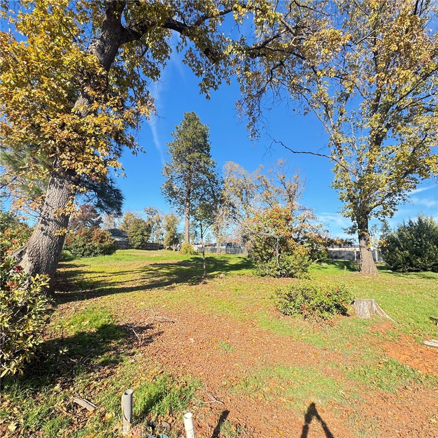 MLS #SN25273378 image #3