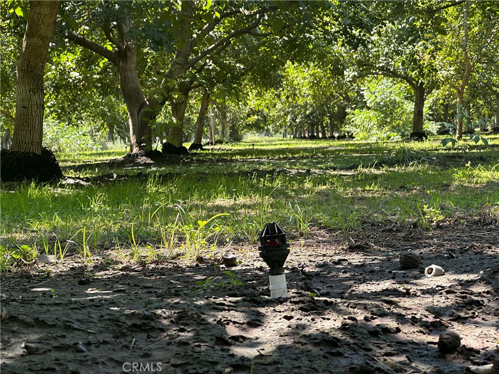 MLS #SN25273438 image #6