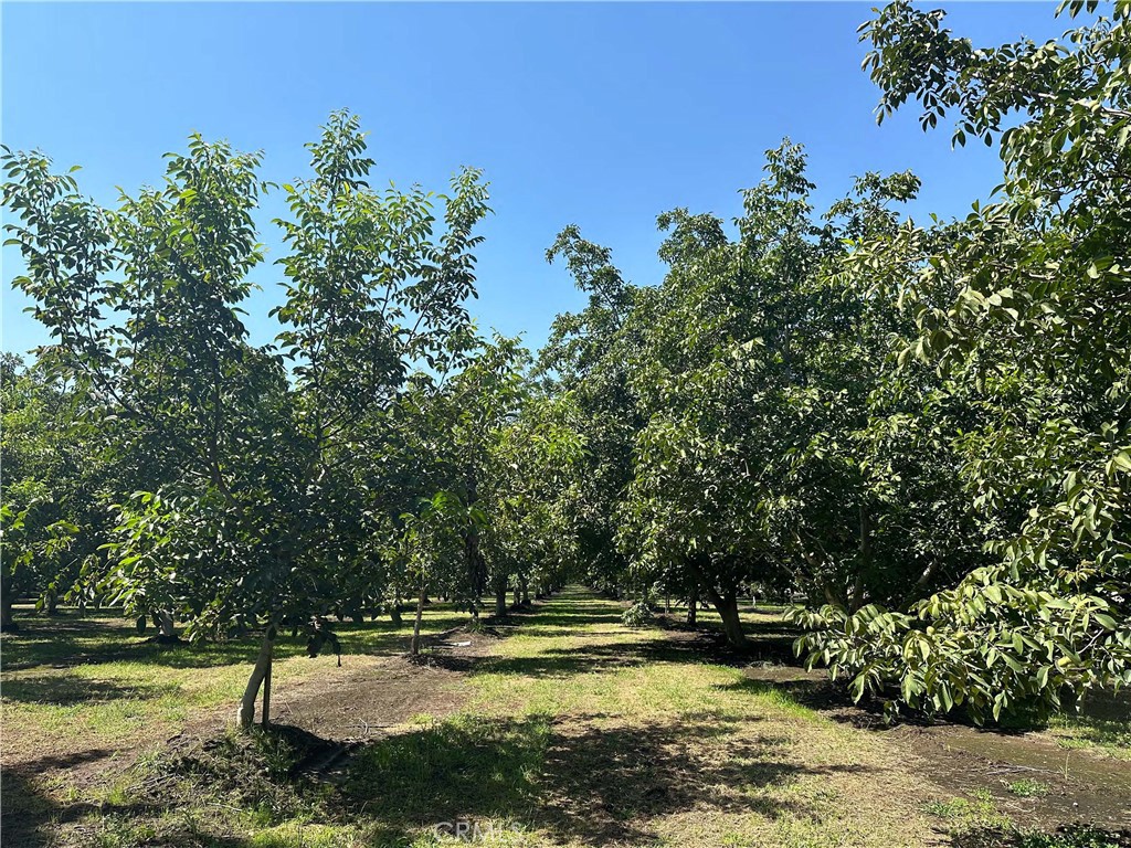 MLS #SN25273438 image #7