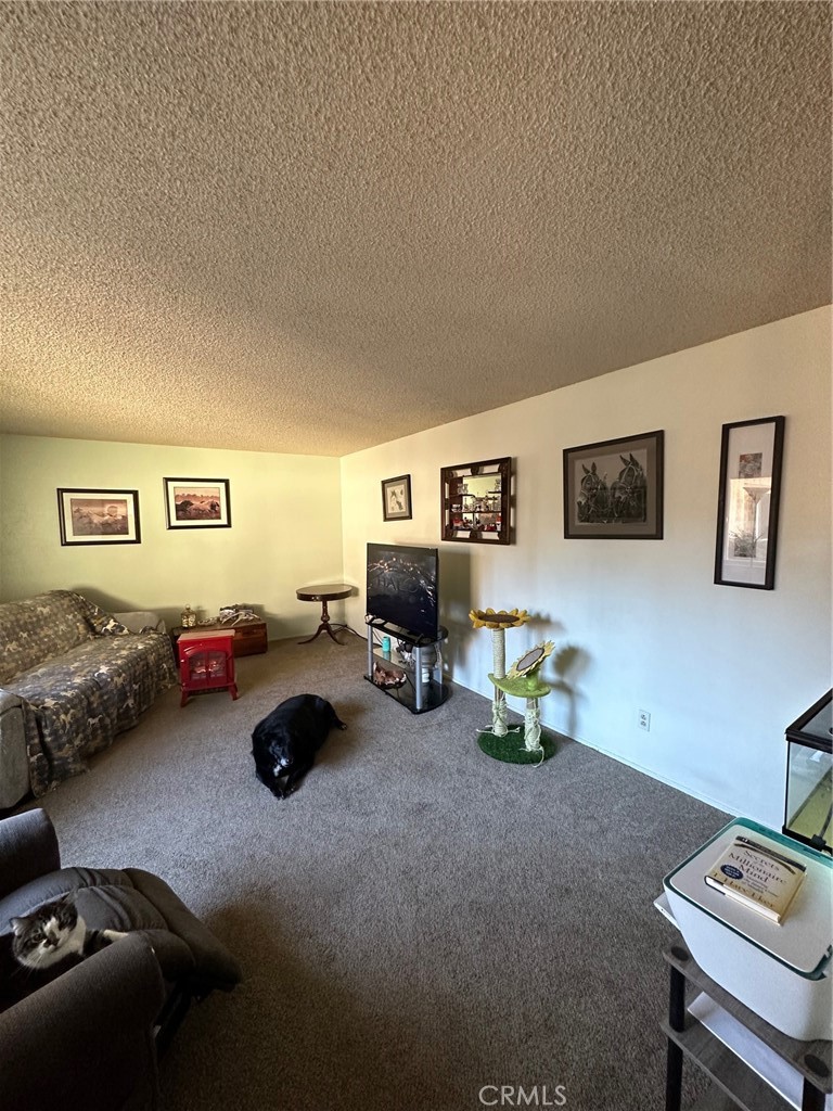 MLS #SN25273857 image #32