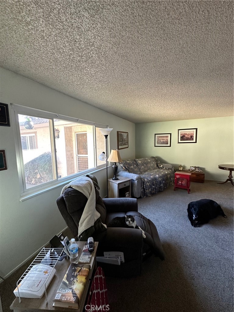 MLS #SN25273857 image #33