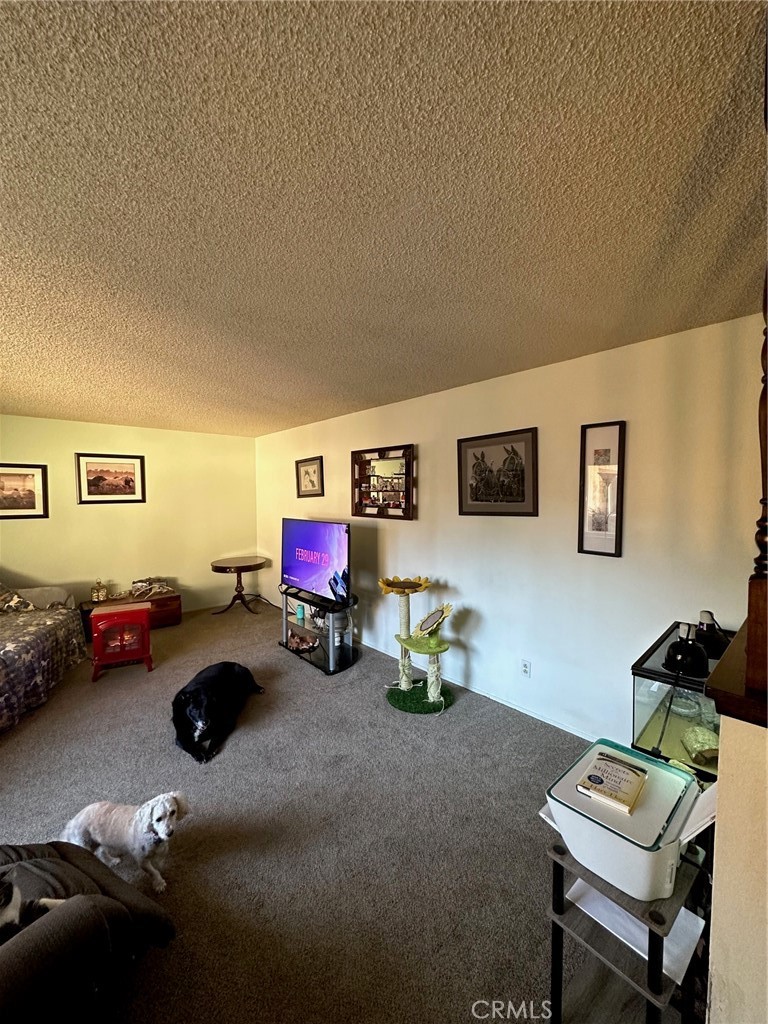 MLS #SN25273857 image #36