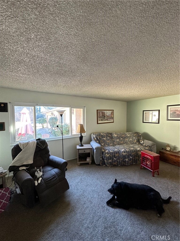 MLS #SN25273857 image #37