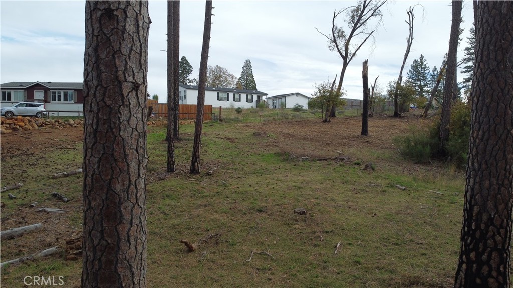 MLS #SN25273874 image #4