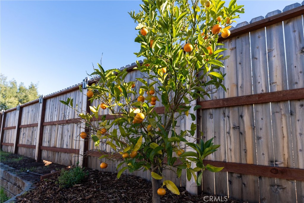 MLS #SN25275681 image #49