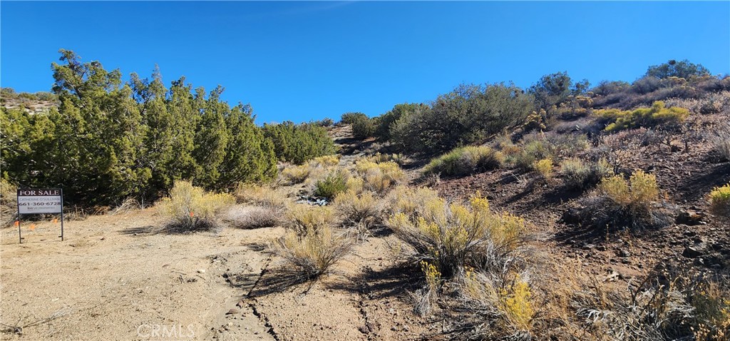 MLS #SR22233112 image #3