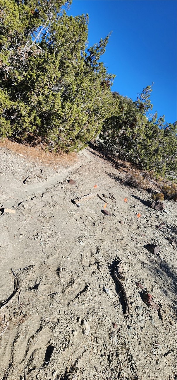 MLS #SR22233112 image #7