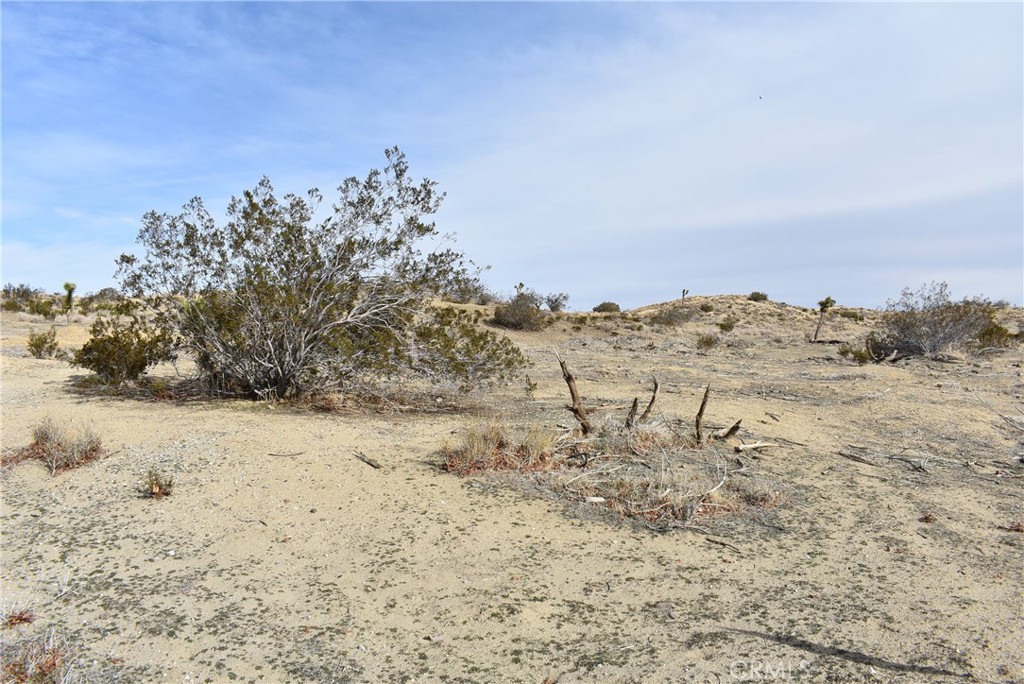 MLS #SR22256824 image #6