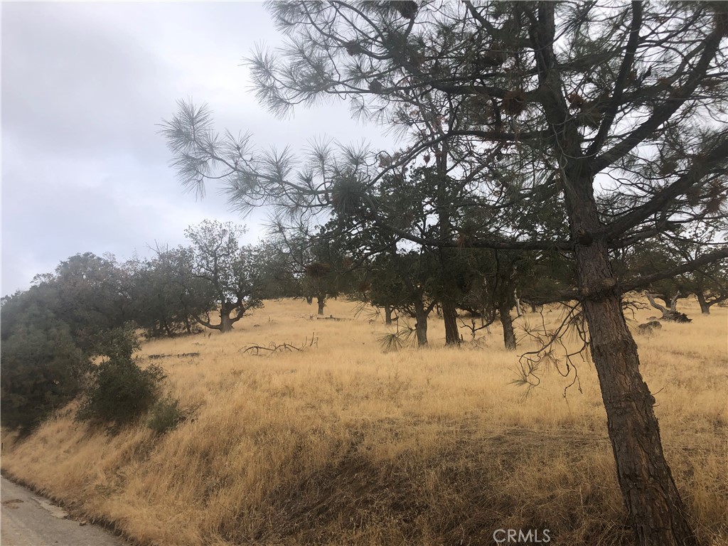 MLS #SR23065161 image #1