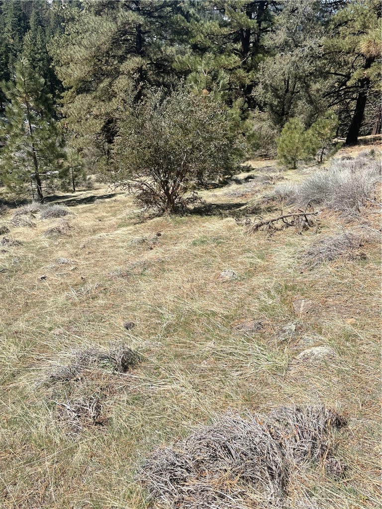 MLS #SR23065161 image #10