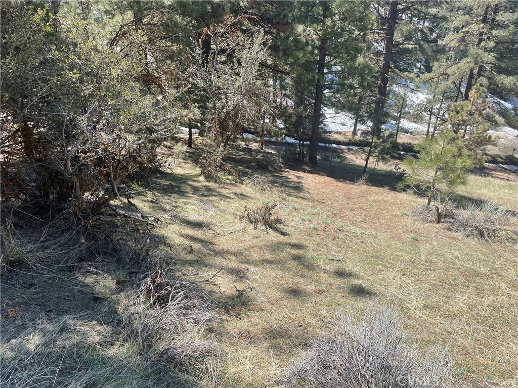 MLS #SR23065161 image #12