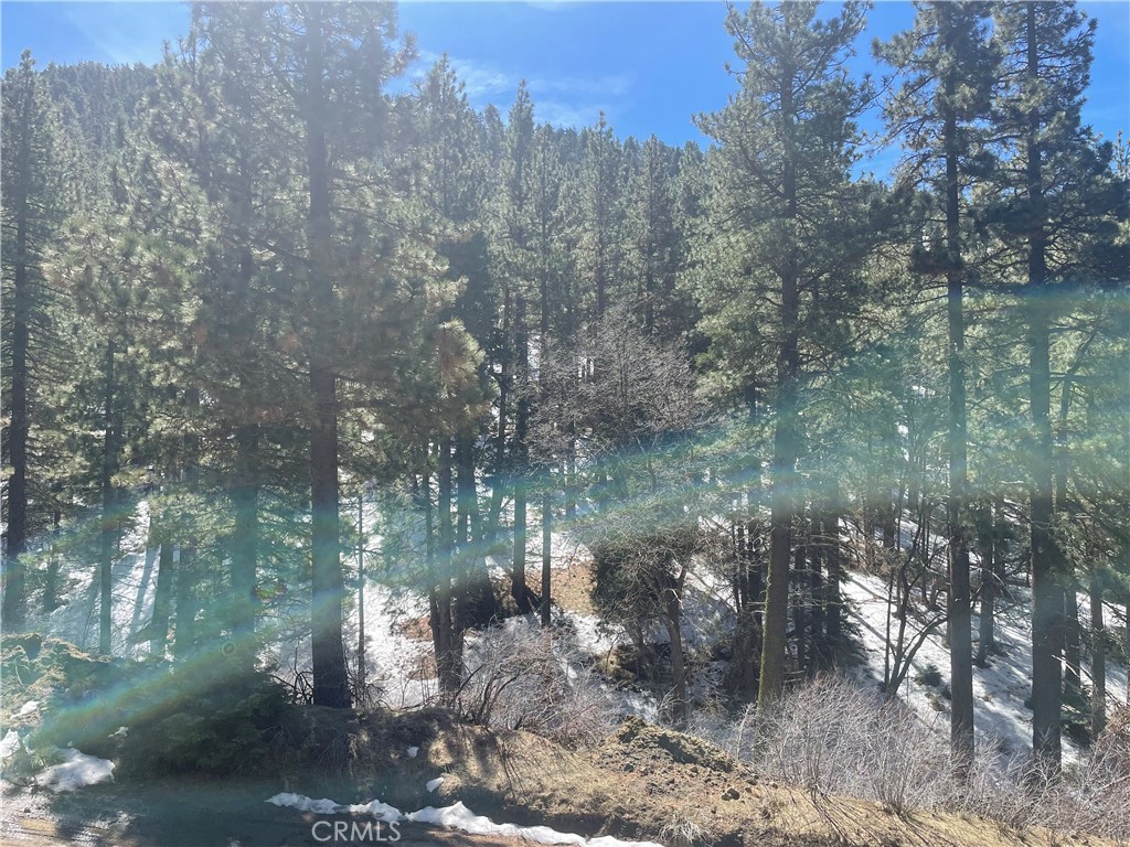 MLS #SR23065161 image #3