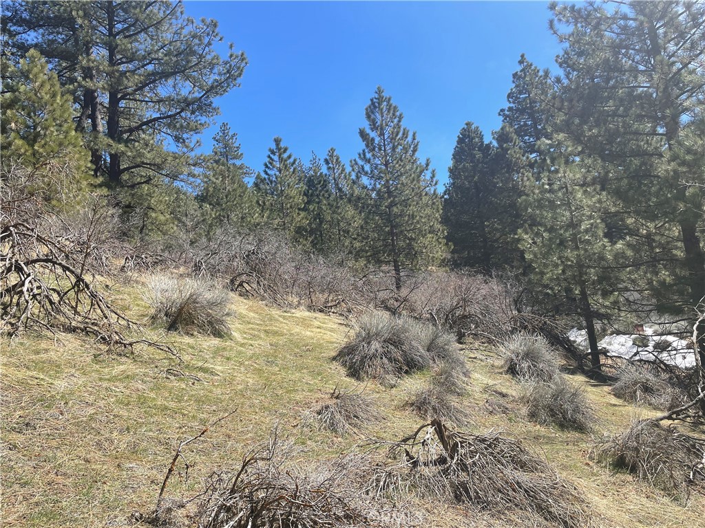 MLS #SR23065161 image #5