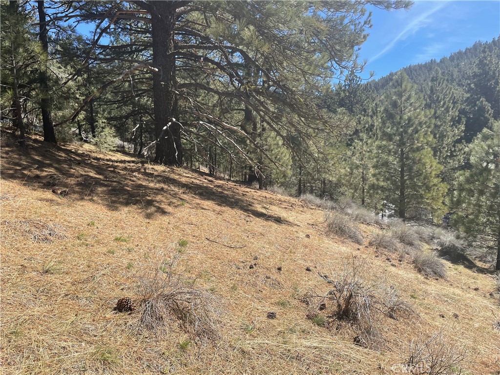 MLS #SR23065161 image #6