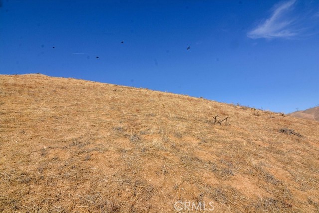 MLS #SR23151942 image #6