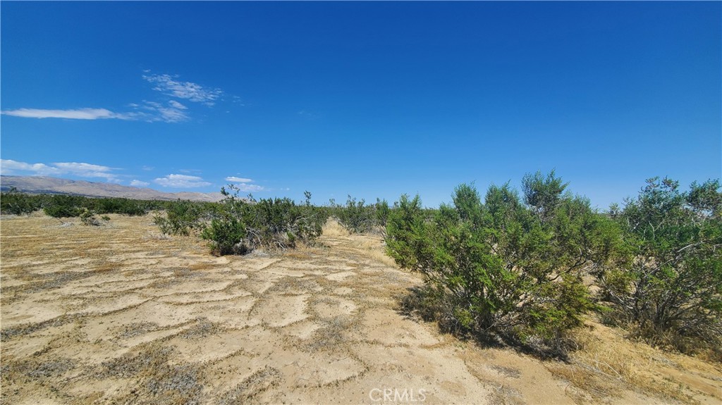 MLS #SR23171065 image #10