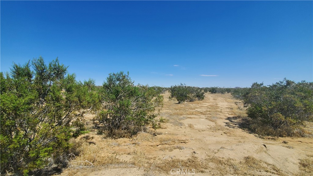 MLS #SR23171065 image #11