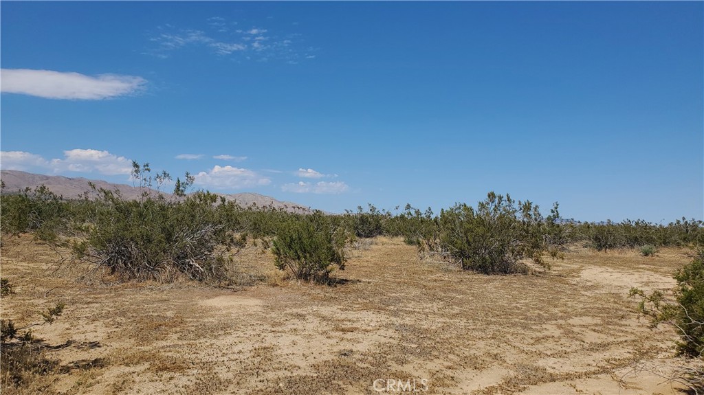 MLS #SR23171065 image #12