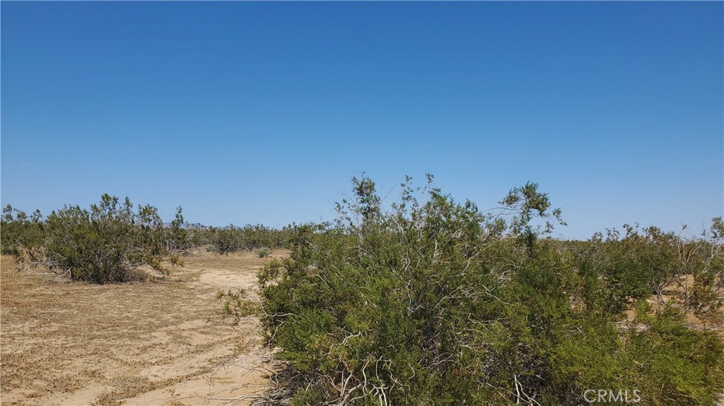 MLS #SR23171065 image #13