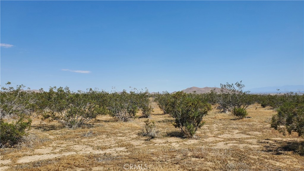 MLS #SR23171065 image #15