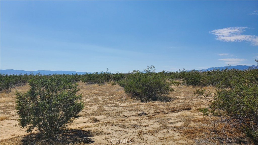 MLS #SR23171065 image #19