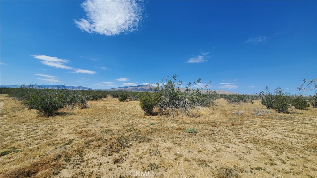 MLS #SR23171065 image #2