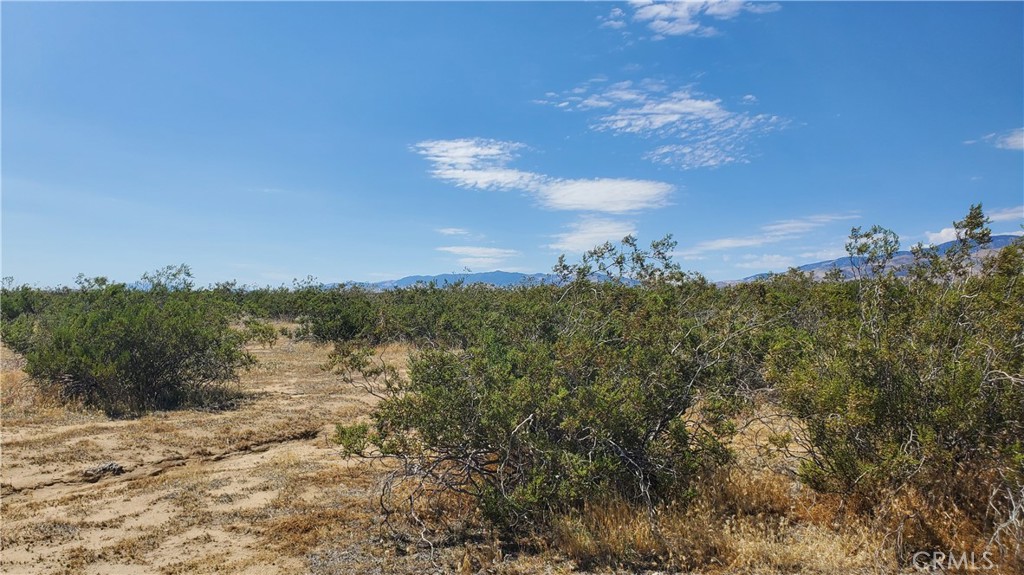 MLS #SR23171065 image #20