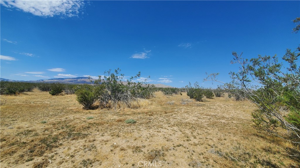 MLS #SR23171065 image #4