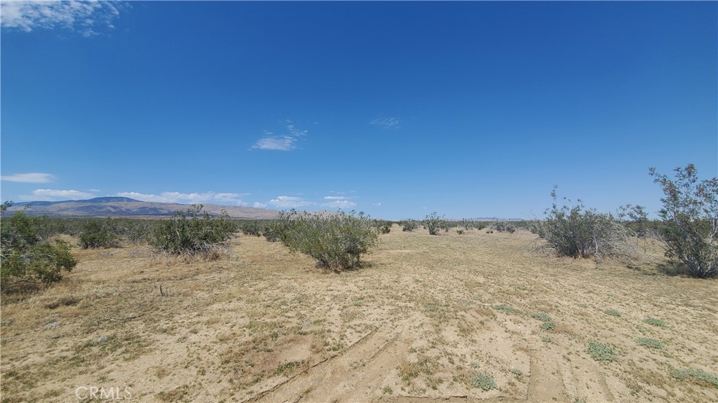 MLS #SR23171065 image #5