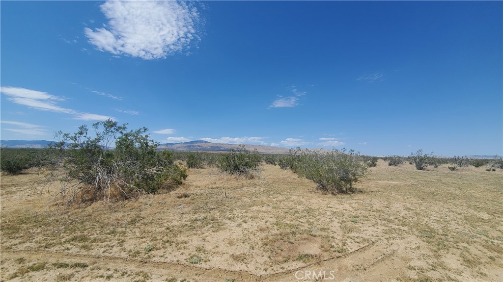 MLS #SR23171065 image #6