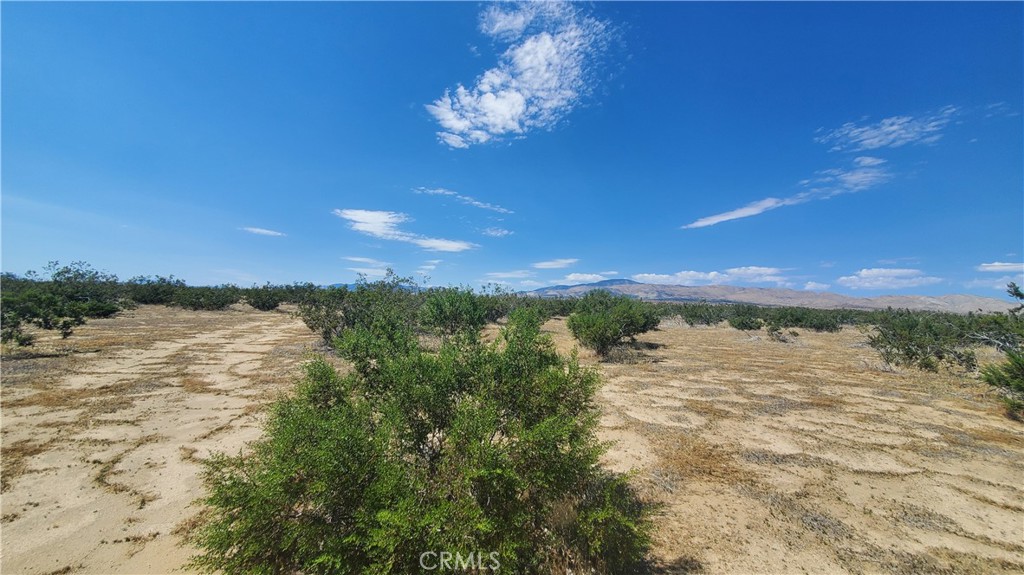 MLS #SR23171065 image #7