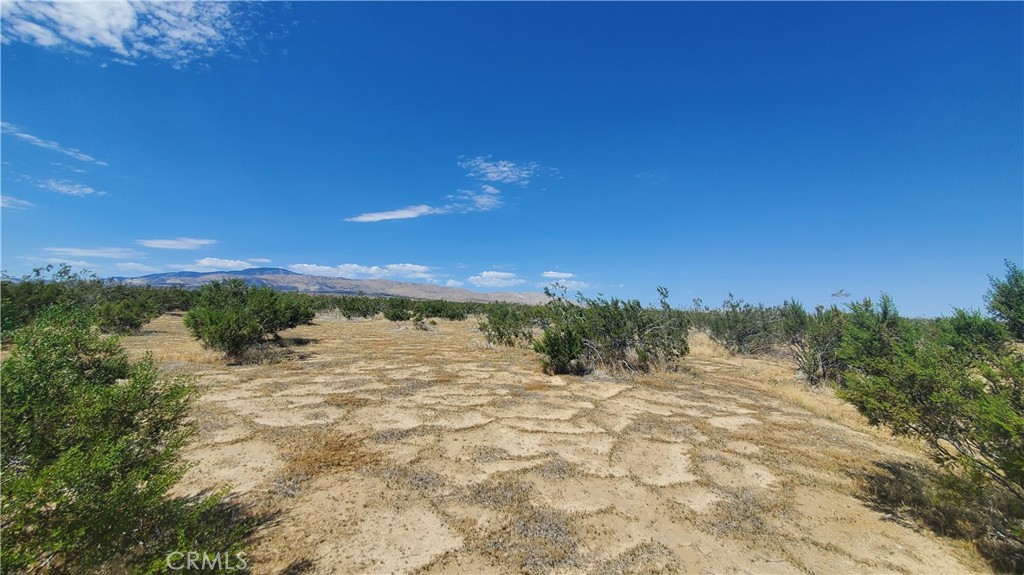 MLS #SR23171065 image #9