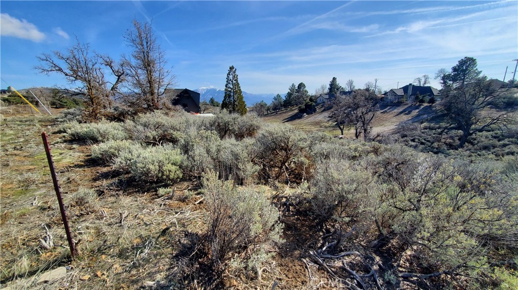 MLS #SR23210317 image #10