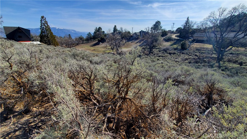 MLS #SR23210317 image #3