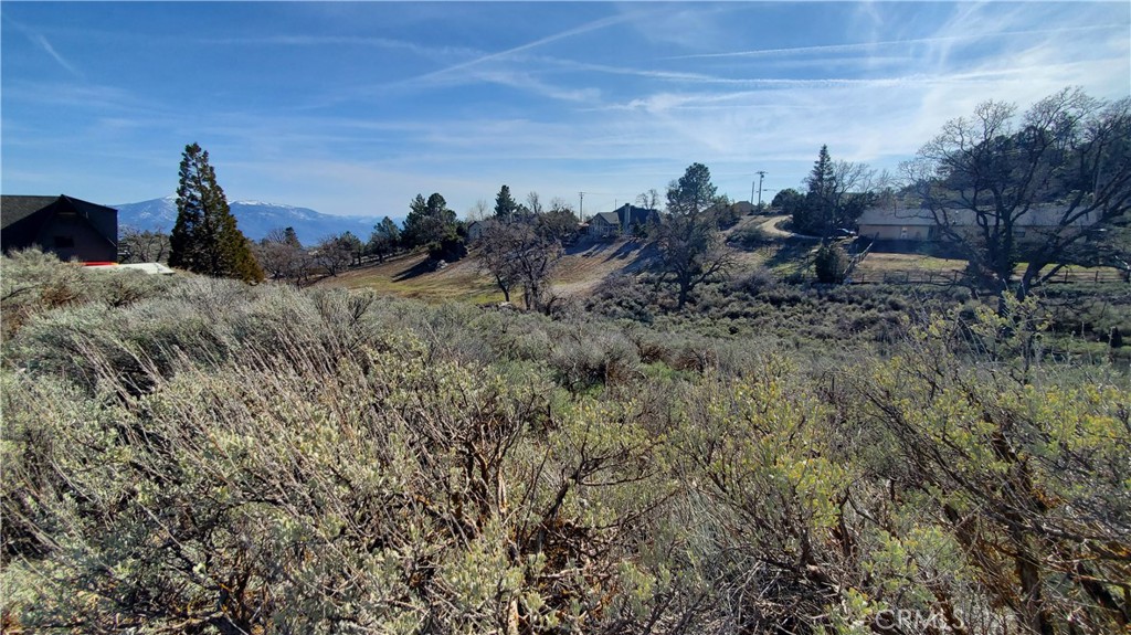 MLS #SR23210317 image #6