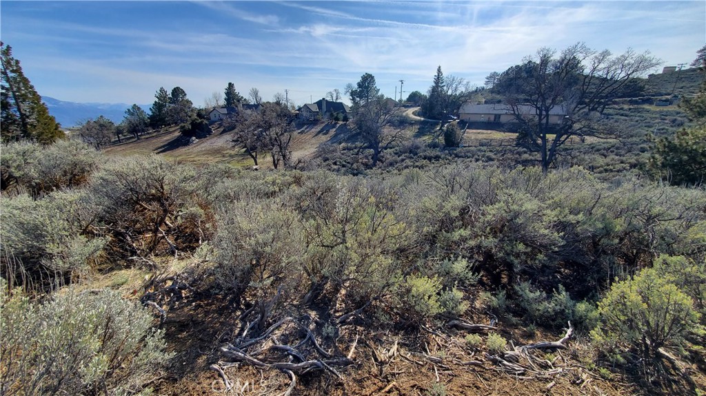 MLS #SR23210317 image #9