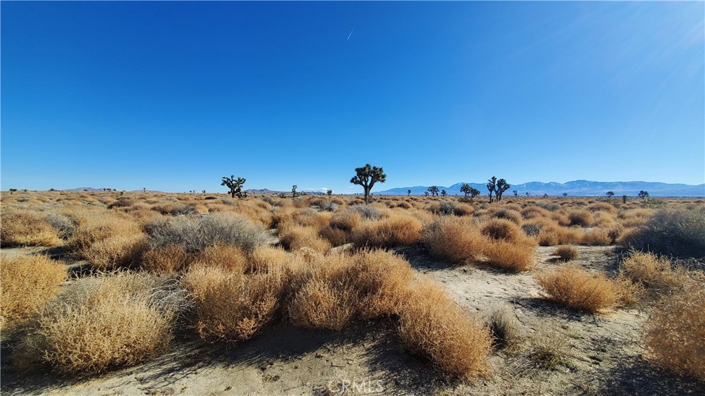 MLS #SR24005278 image #10