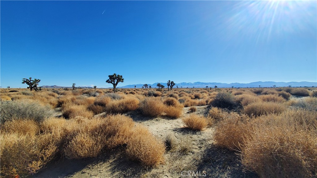 MLS #SR24005278 image #11