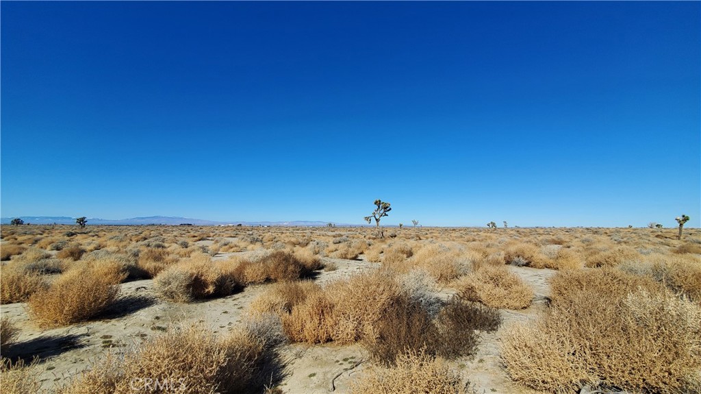 MLS #SR24005278 image #13