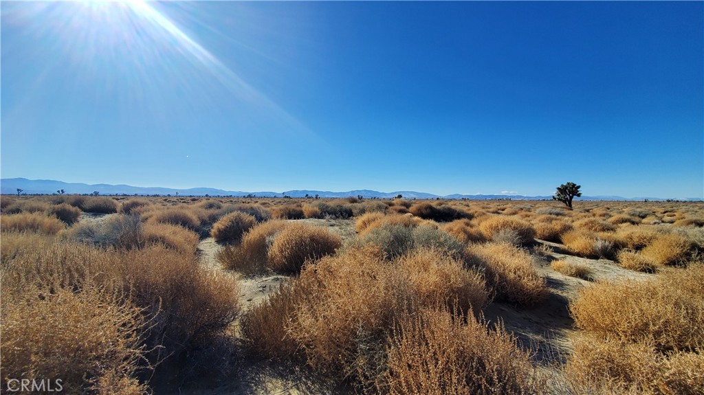 MLS #SR24005278 image #3