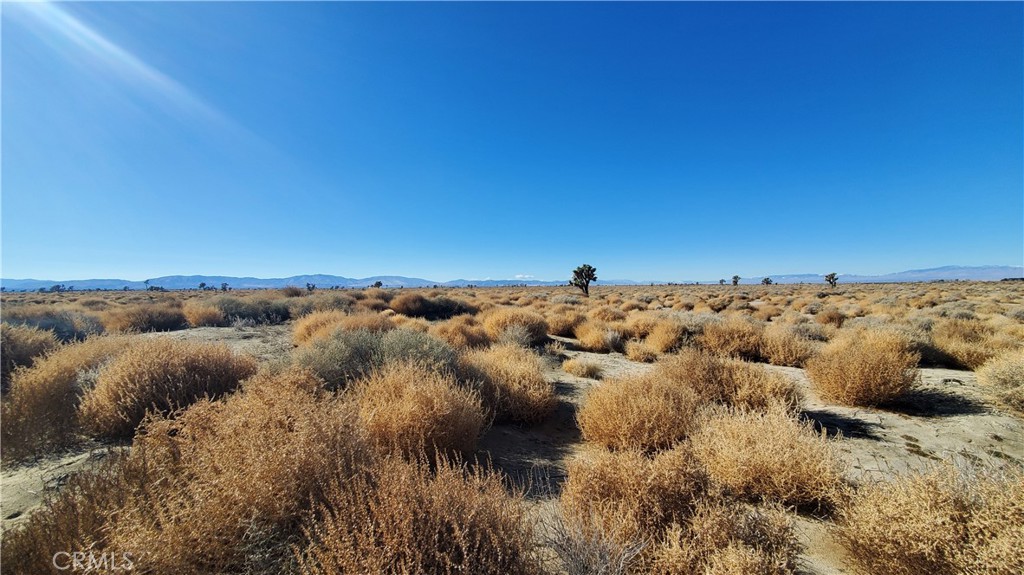 MLS #SR24005278 image #4