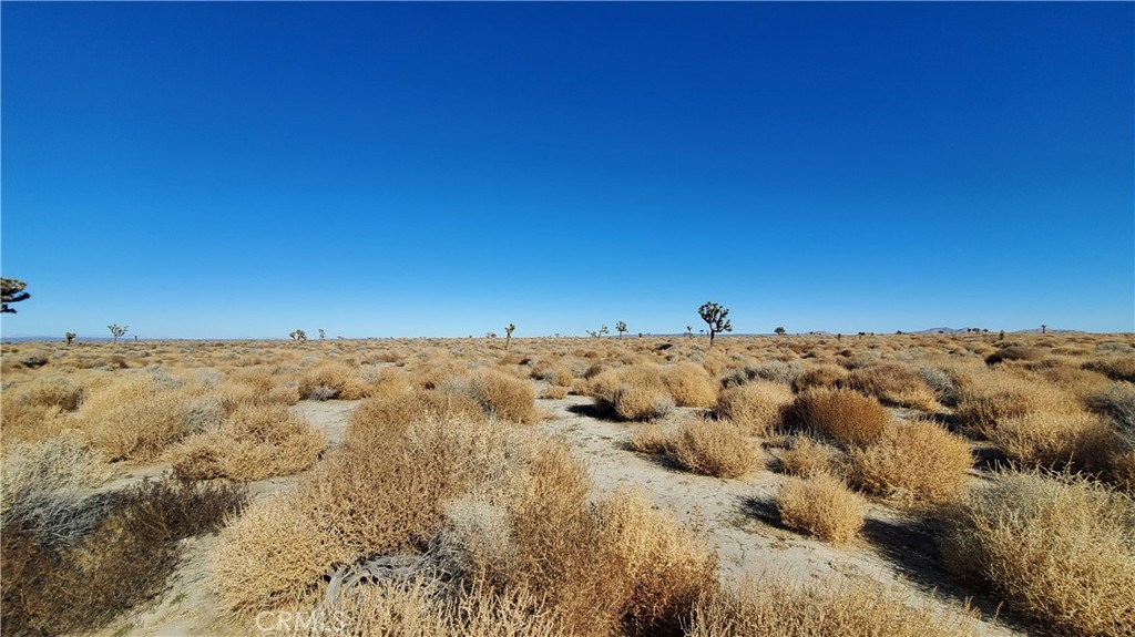 MLS #SR24005278 image #7