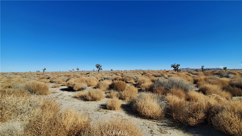 MLS #SR24005278 image #8