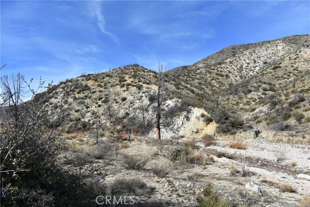 MLS #SR24017621 image #4