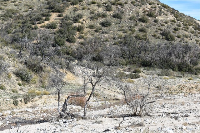 MLS #SR24017621 image #5