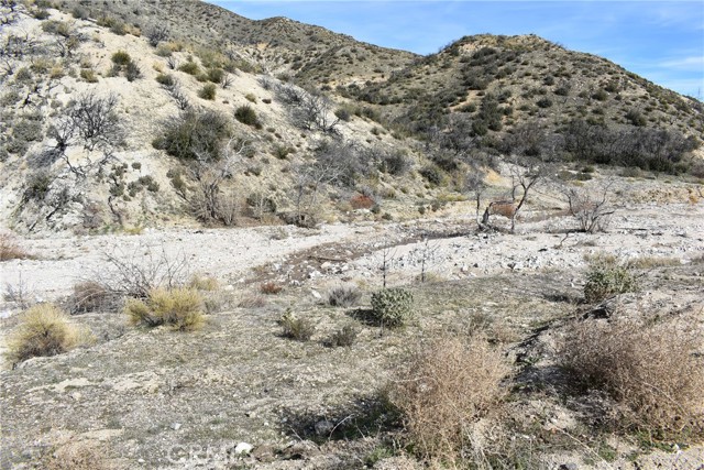 MLS #SR24017621 image #6