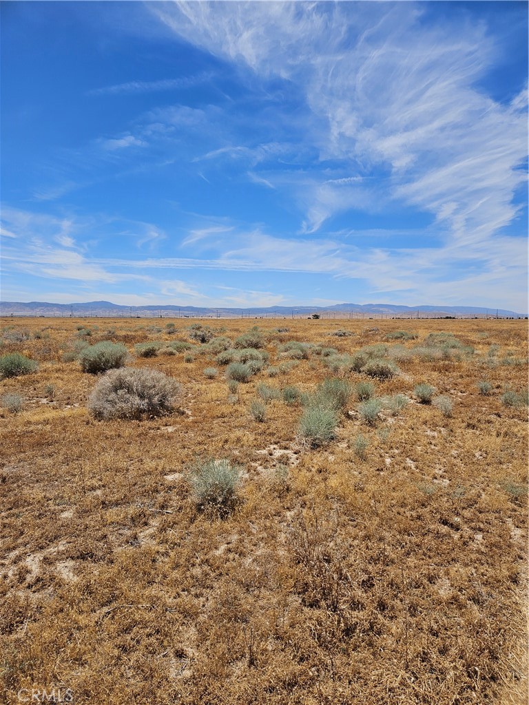 MLS #SR24023986 image #5